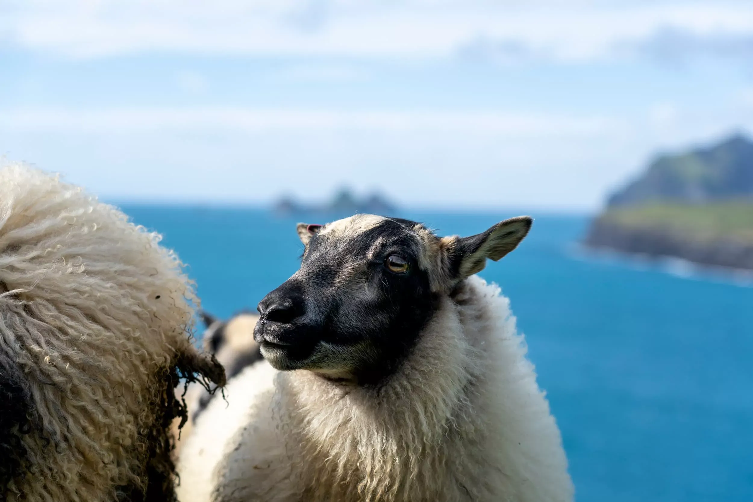 Island Fotografie 12