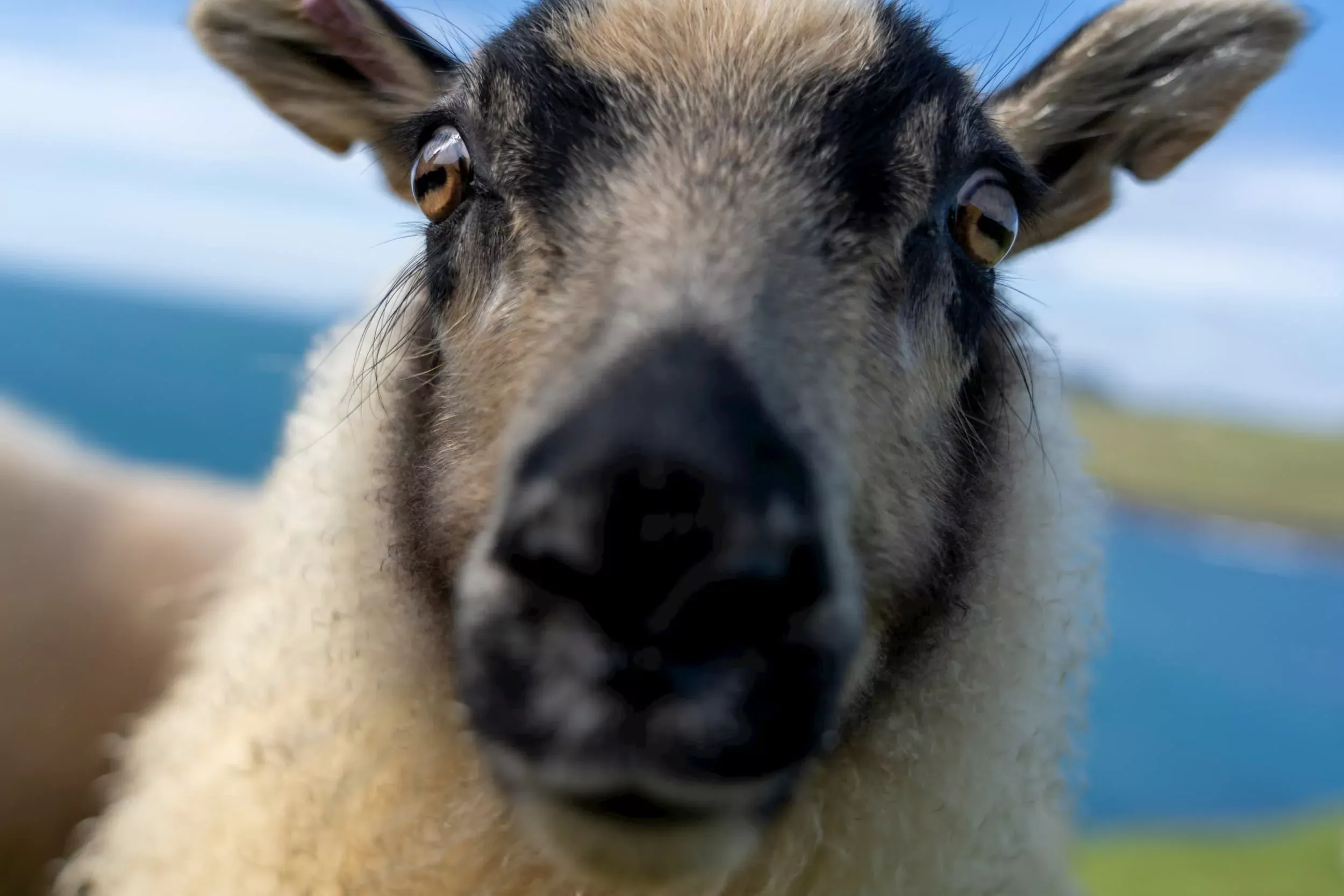 Island Fotografie 13