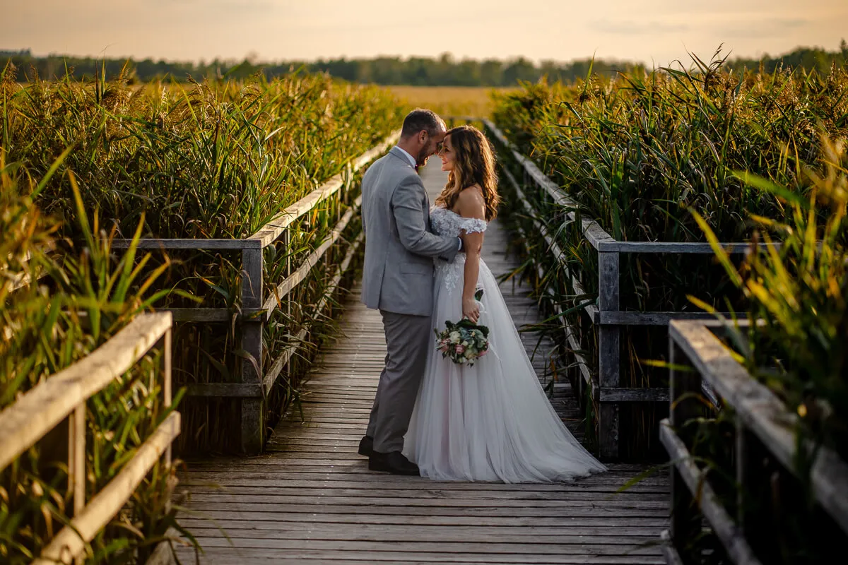 After Wedding Federsee 6