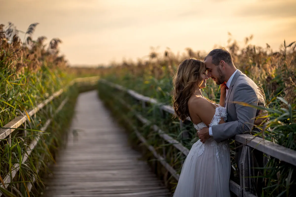 After Wedding Federsee 10