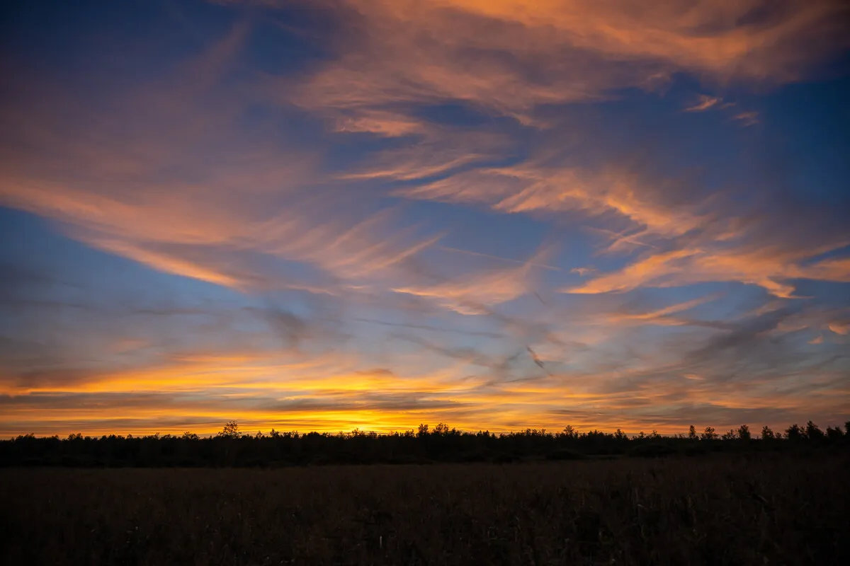 After Wedding Federsee 17