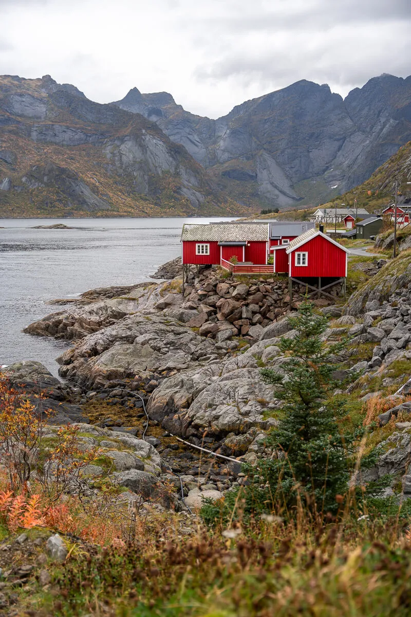 Typisches rotes Fischerhaus vor schneebedeckten Bergen auf den Lofoten