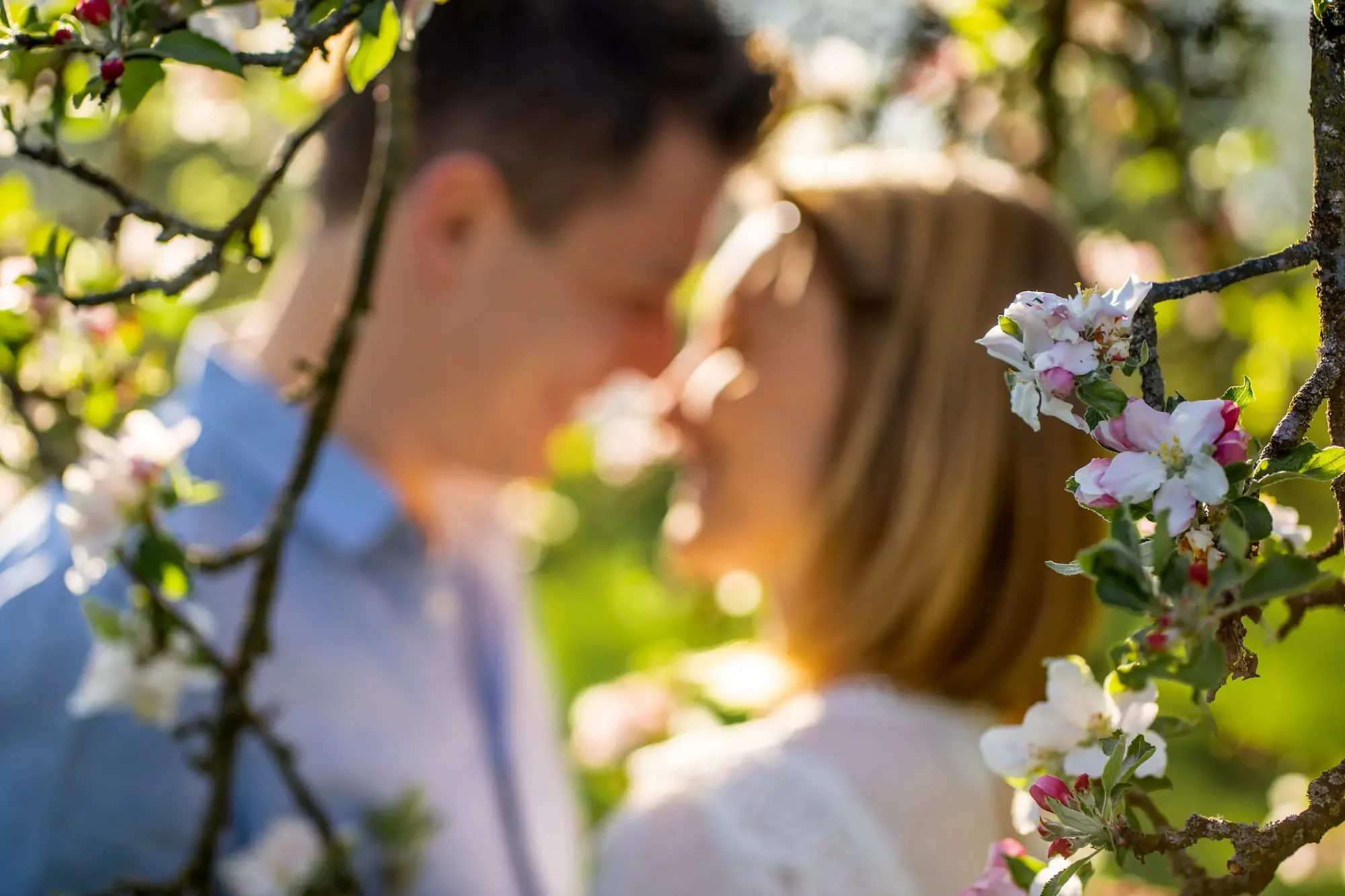 Kirschblüten Shooting 10