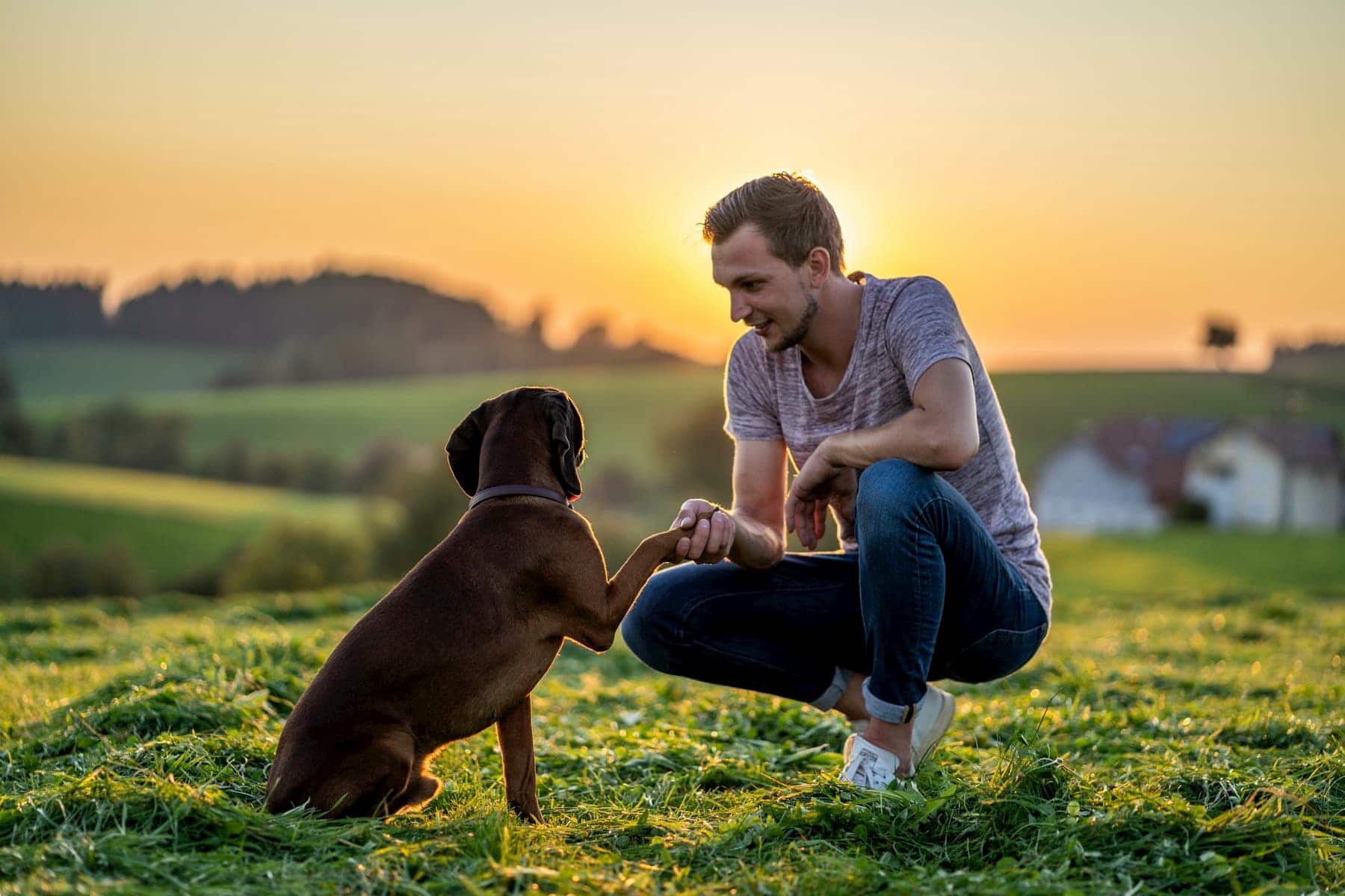 Fotoshooting Wangen mit Hund